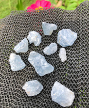 Load image into Gallery viewer, (5) Small Celestite Pocket Stones
