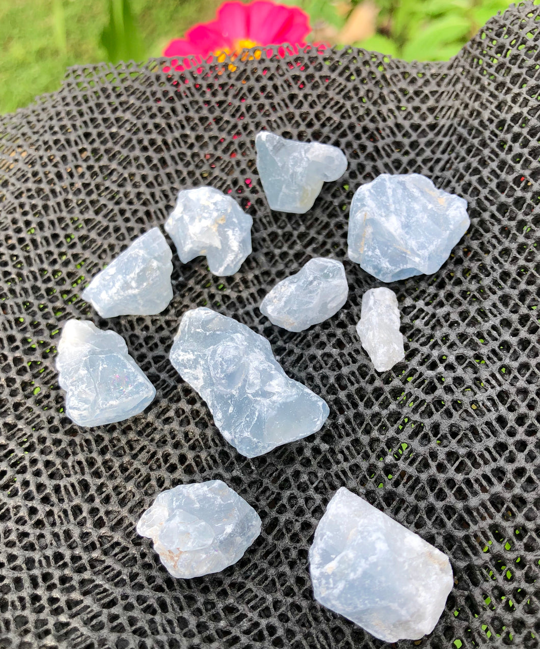 (5) Small Celestite Pocket Stones