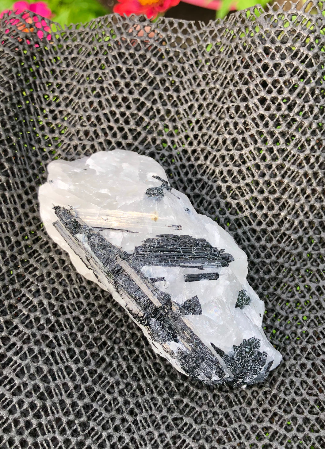 (1) Large Quartz Infused with Black Tourmaline