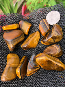 (2) Large/Medium Tigers Eye Tumbled Stones