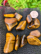 Load image into Gallery viewer, (2) Large/Medium Tigers Eye Tumbled Stones
