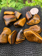 Load image into Gallery viewer, (2) Large/Medium Tigers Eye Tumbled Stones
