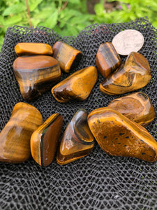 (2) Large/Medium Tigers Eye Tumbled Stones