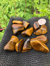 Load image into Gallery viewer, (2) Large/Medium Tigers Eye Tumbled Stones
