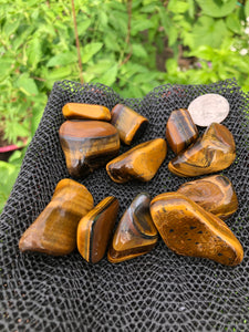 (2) Large/Medium Tigers Eye Tumbled Stones